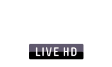 MTV Live